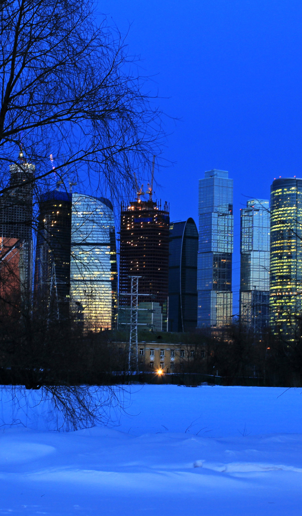 Вид на московские небоскребы из зимнего парка, Россия