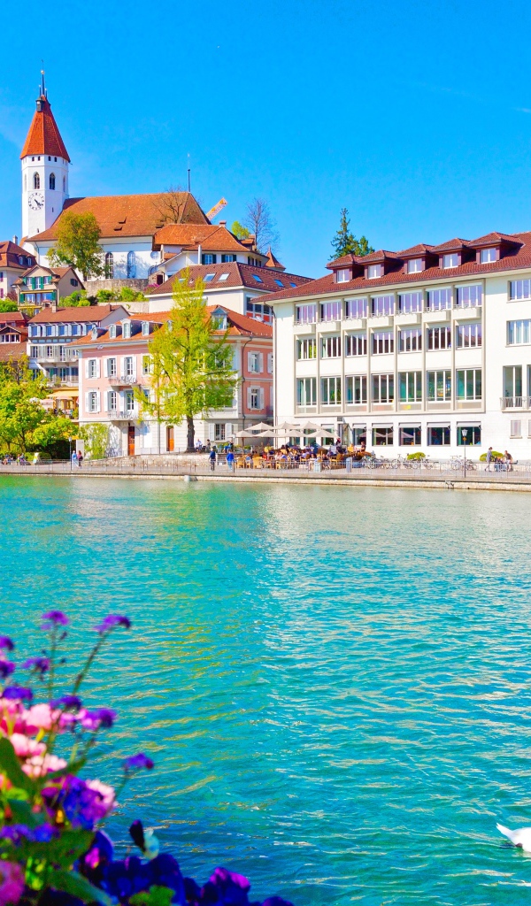 Красивые дома у реки Ааре, Швейцария