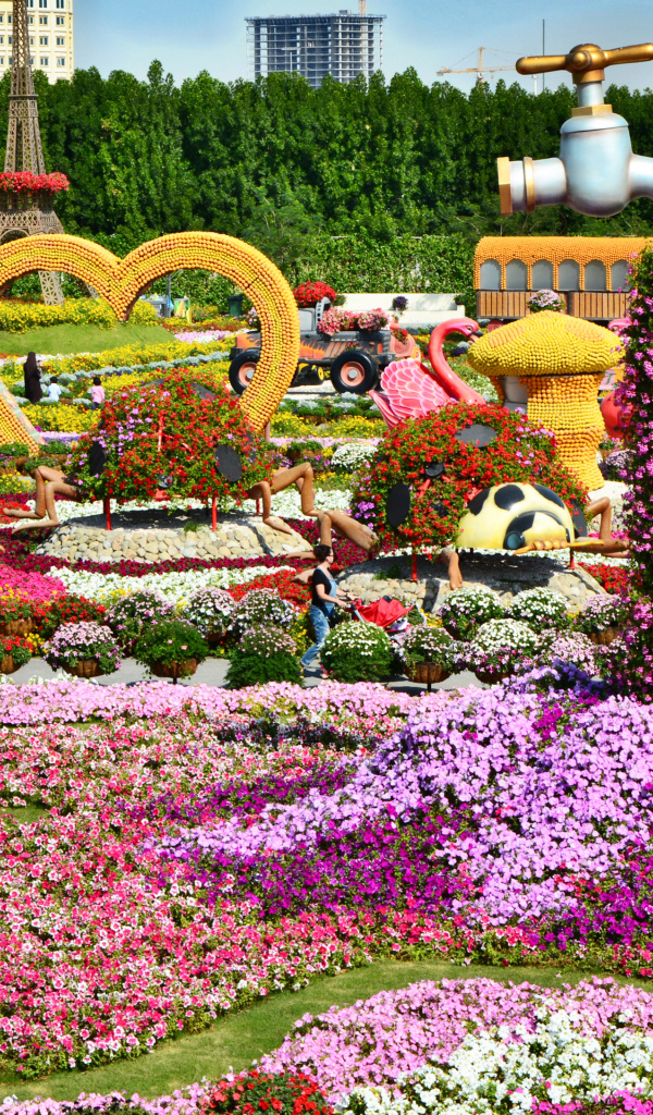 Цветущие петунии в саду чудес, Дубае. ОАЭ