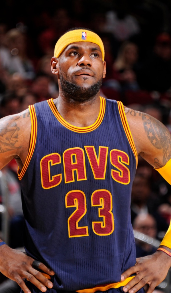 Баскетболист Леброн джеймс на поле 