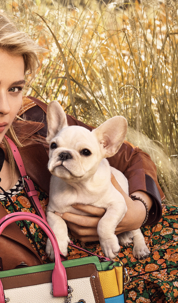 Красивая молодая актриса Хлоя Грейс Морец с собакой 