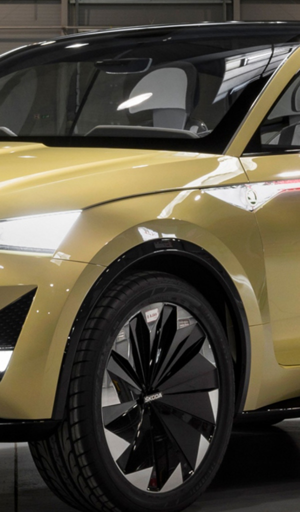 Новый электромобиль  Skoda Vision E в гараже