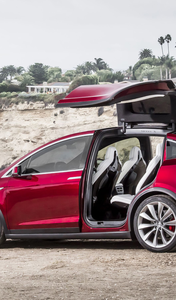 Красный электромобиль Тесла на берегу 