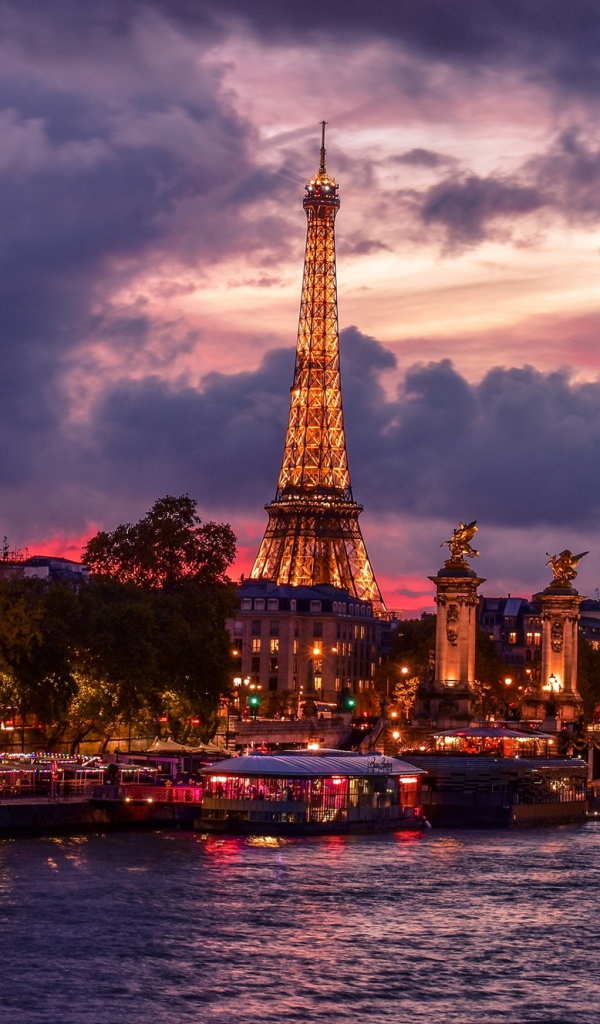 View of the Eiffel Tower at night under the beautiful sky, France