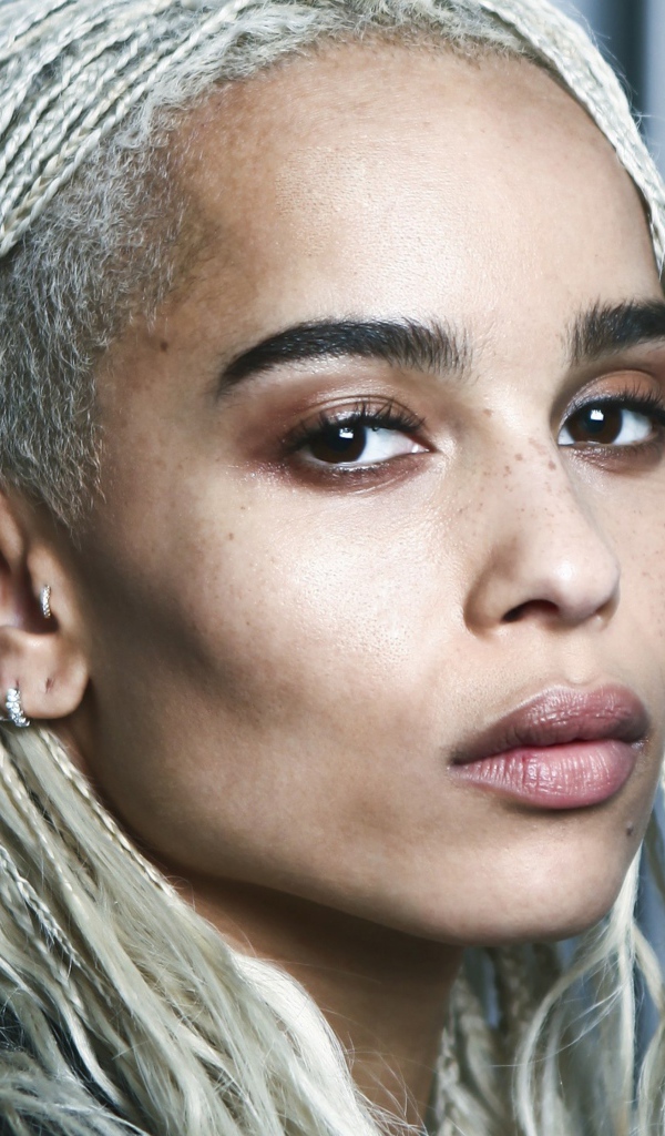 Молодая популярная актриса Зои Кравиц