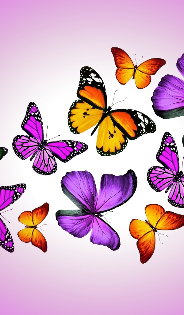 Много разноцветных бабочек на сиреневом фоне, 3д графика