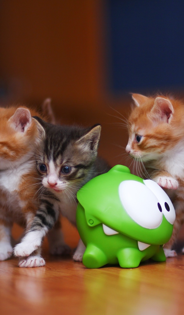 Маленькие смешные котята с зеленой игрушкой
