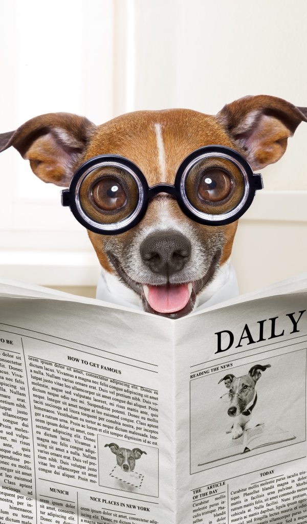 Смешная собака в очках читает газету