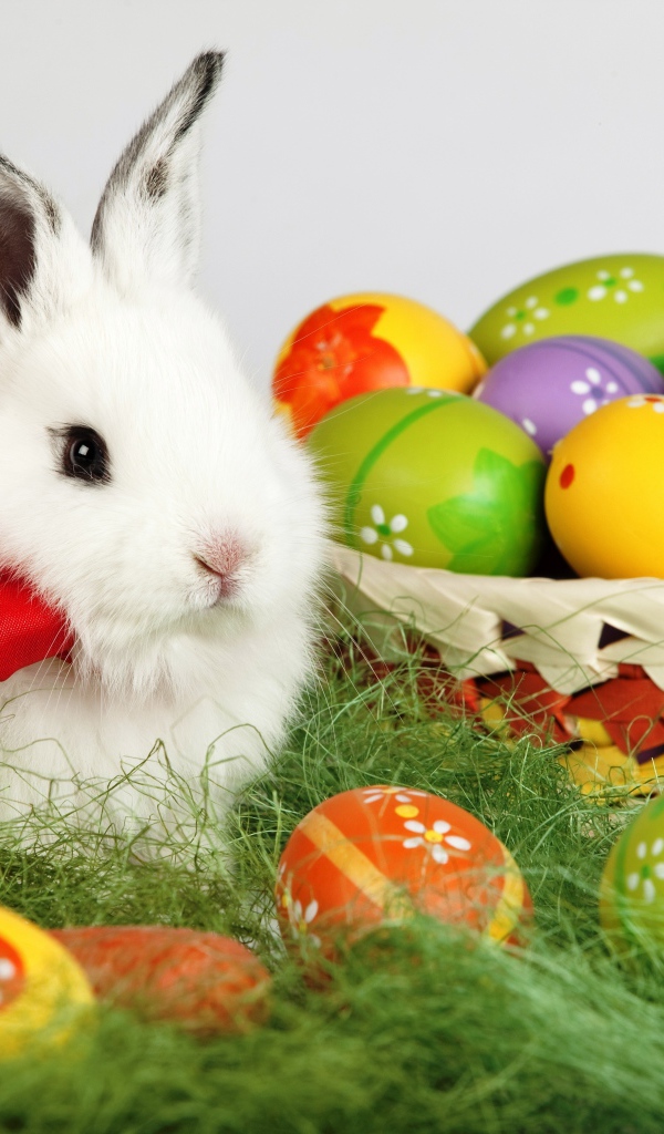 Пушистый белый декоративный кролик с корзиной пасхальных яиц