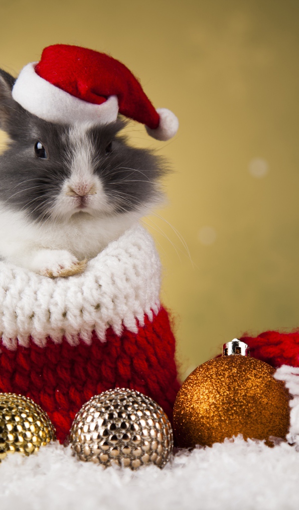 Кролик в новогодней шапке и елочными игрушками