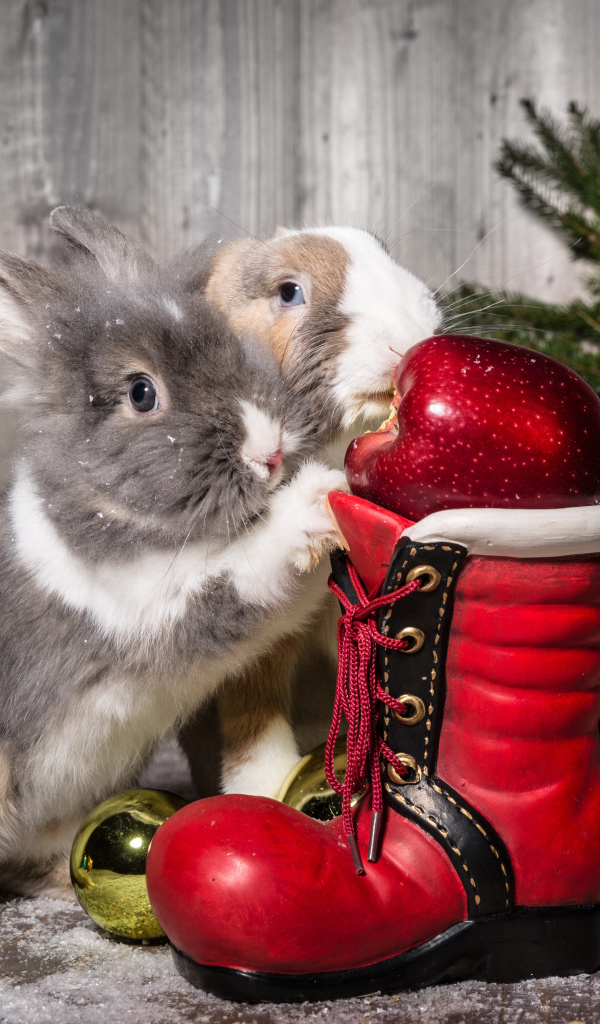 Два кролика с Рождественский сапогом и елью 
