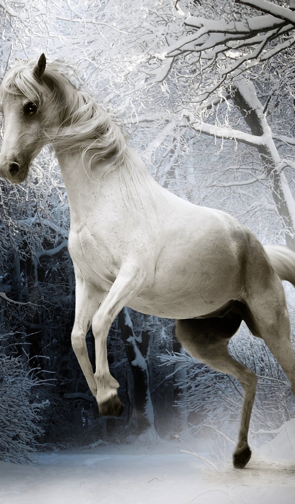 Белая лошадь в покрытом снегом лесу