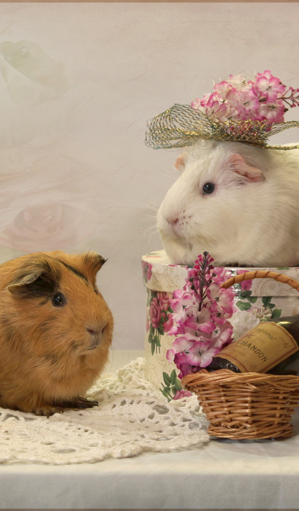 Две морские свинки с цветами