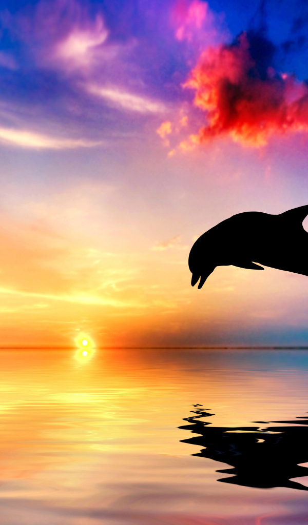 Дельфин выпрыгивает из воды на закате солнца