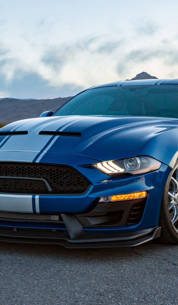 Спортивный автомобиль Shelby Super Snake Wide Body, 2018