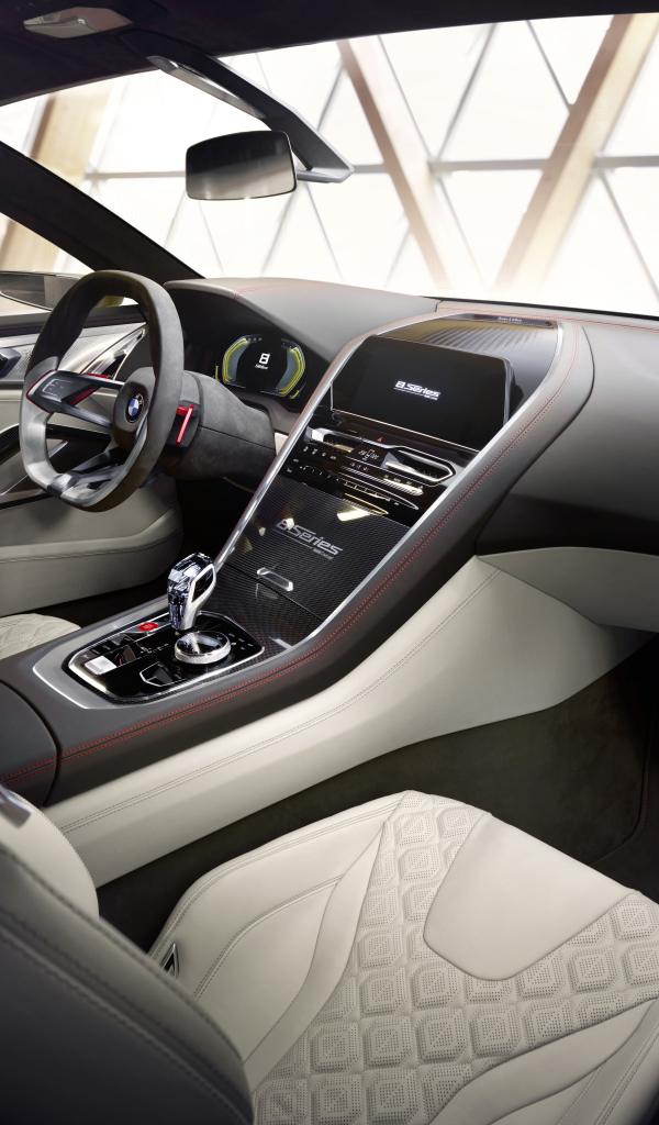 Салон автомобиля BMW Concept 8 Series