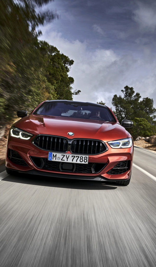 Бордовый автомобиль BMW 8 Series на трассе