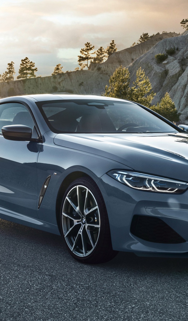 Серебристый автомобиль BMW M850i XDrive 2018