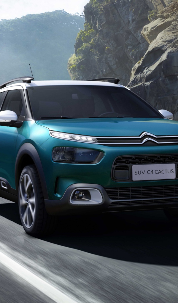Внедорожник Citroen C4, 2018 на фоне гор