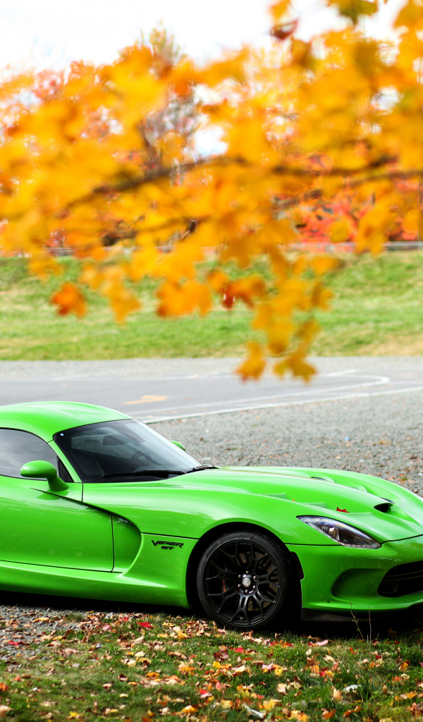 Зеленый спортивный автомобиль  Dodge Viper GTC