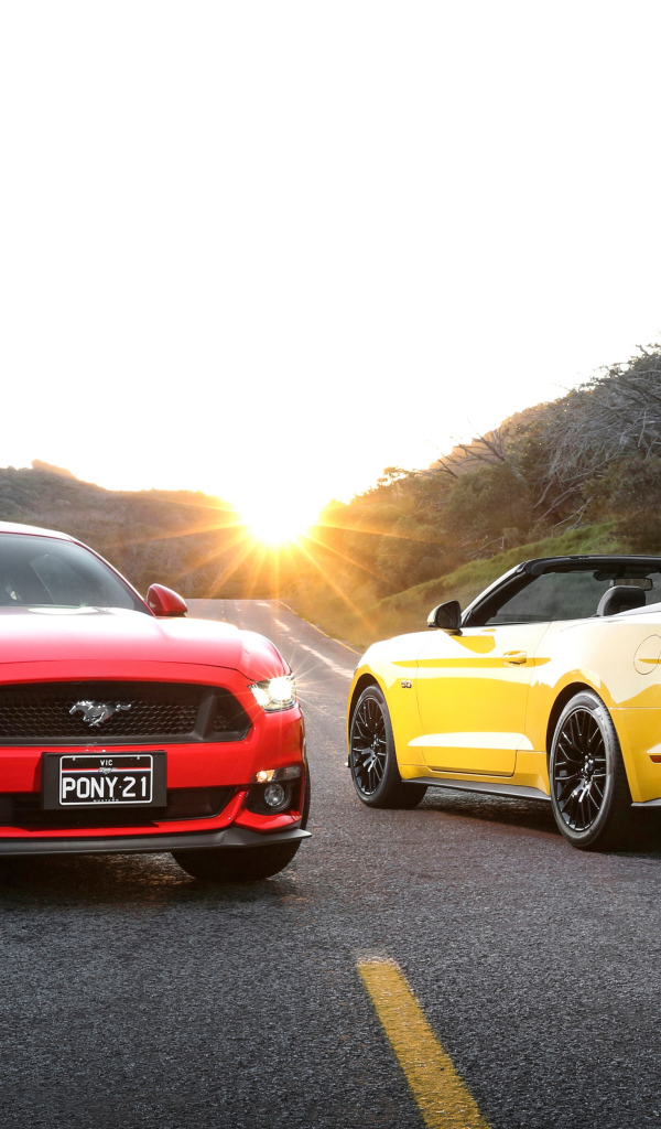 Красный и желтый автомобили Ford Mustang на дороге