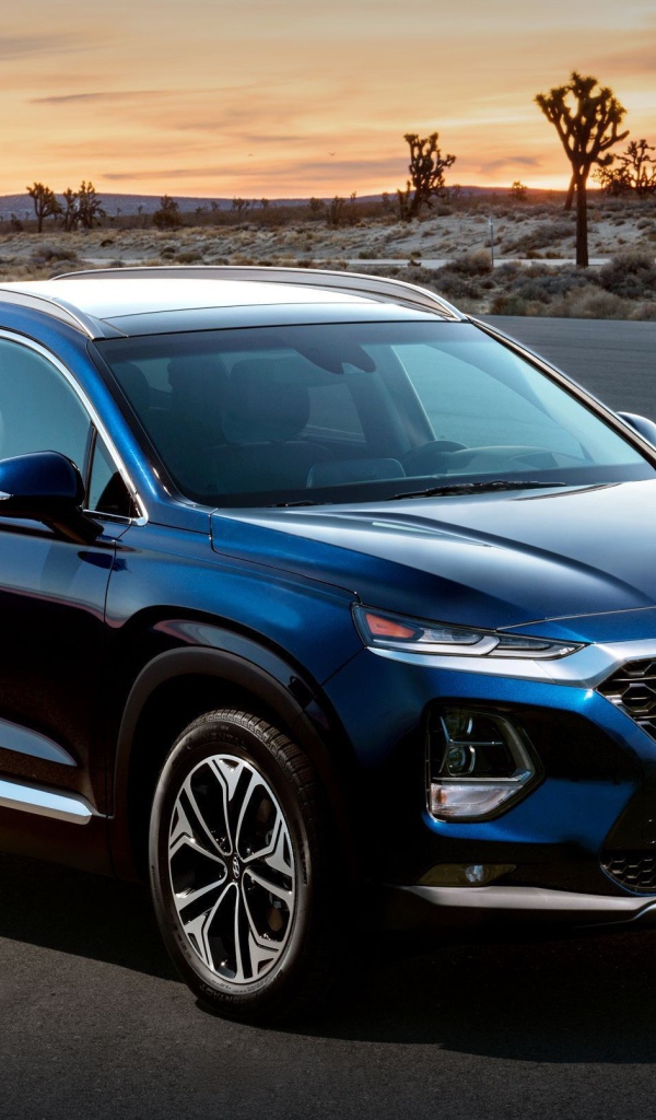 Черный внедорожник Hyundai Santa Fe 2019