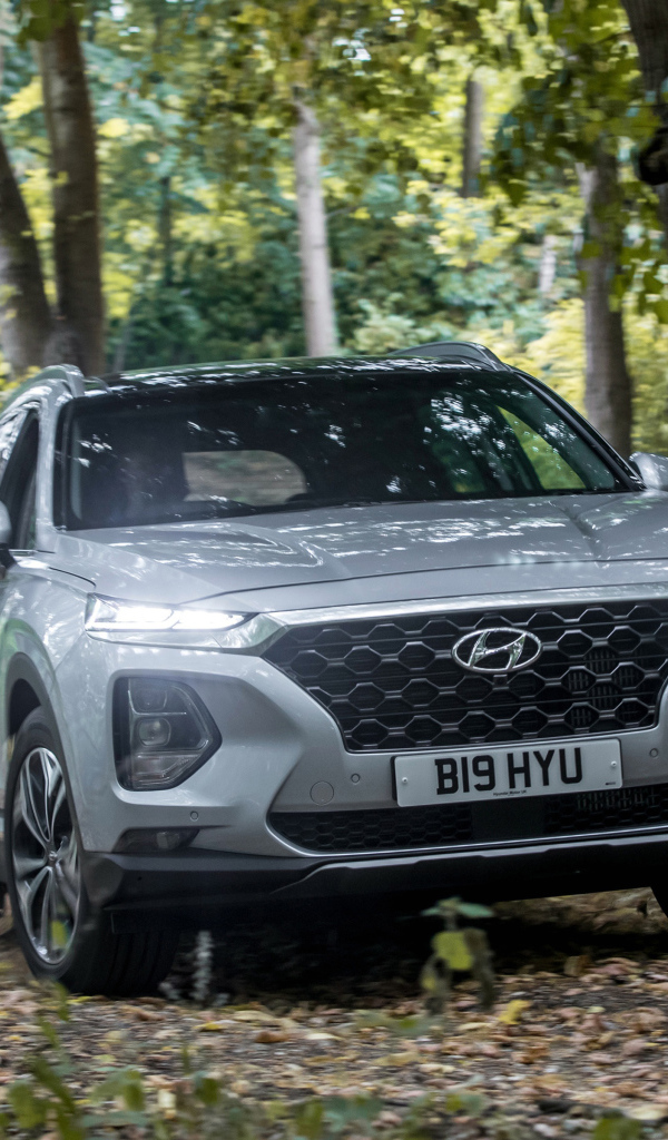 Серебристый автомобиль Hyundai Santa Fe, 2019 года в лесу