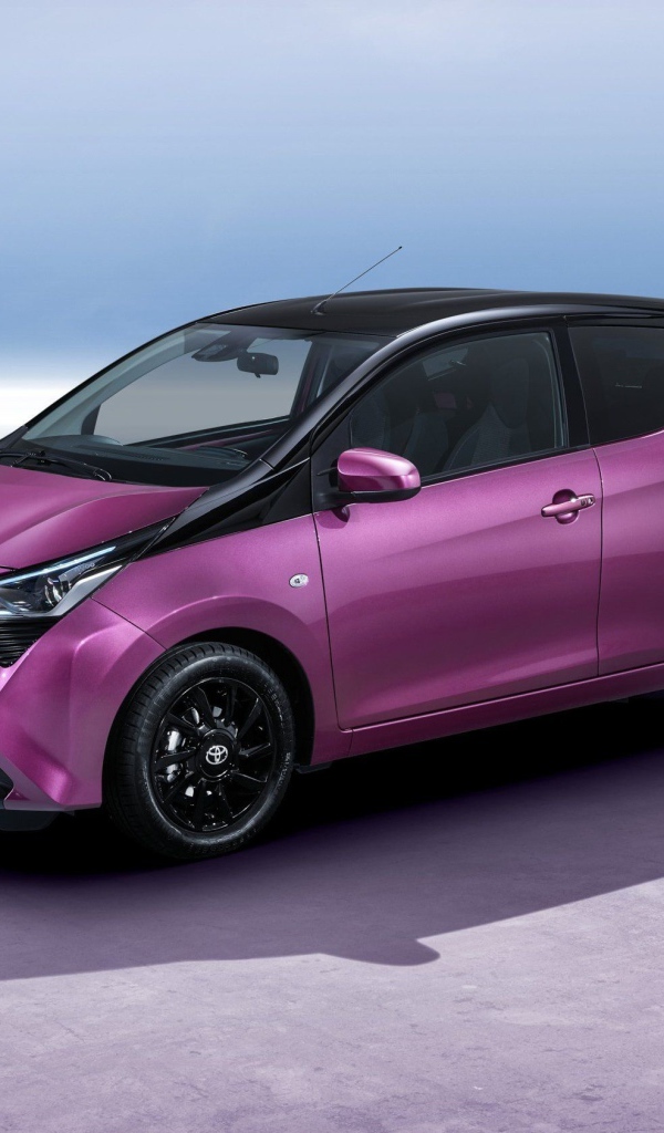 Маленький электрический автомобиль Hyundai Kona, 2019