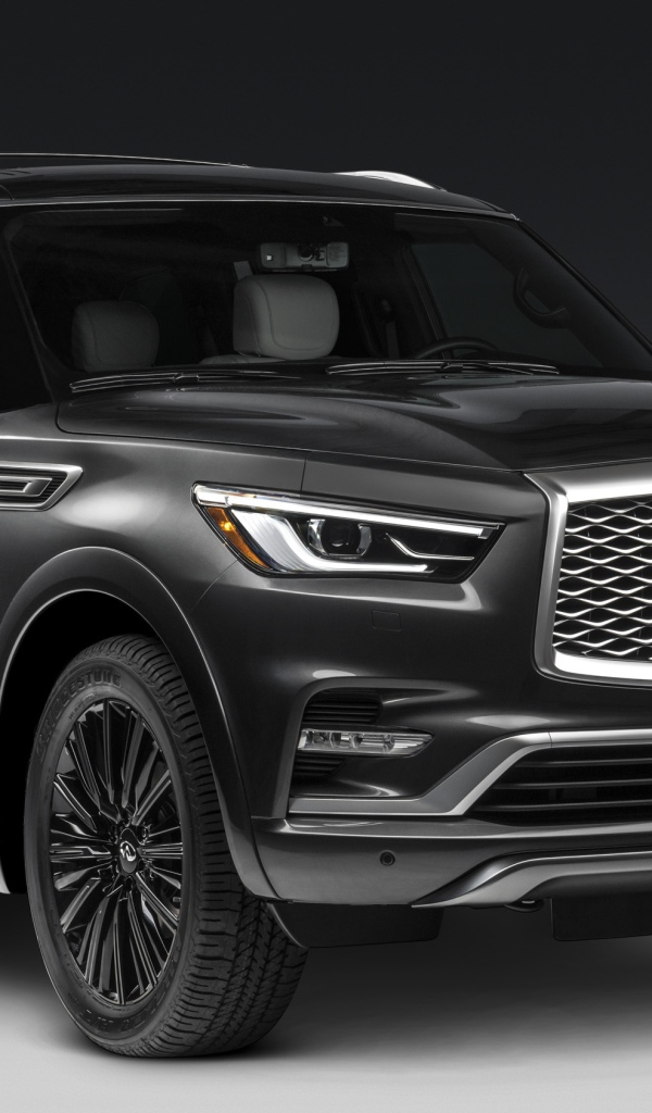 Большой внедорожник  Infiniti QX80, 2019