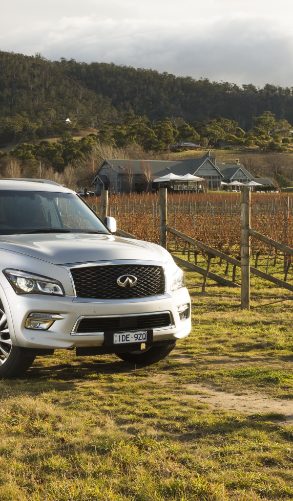 Серебристый автомобиль Infiniti QX80 на ферме