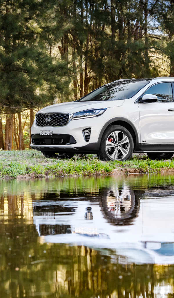 Белый внедорожник Kia Sorento у воды