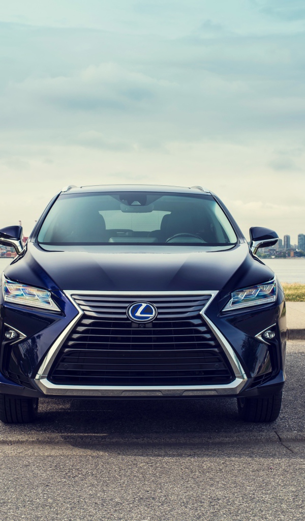 Черный автомобиль Lexus RX 450hL, 2018 года
