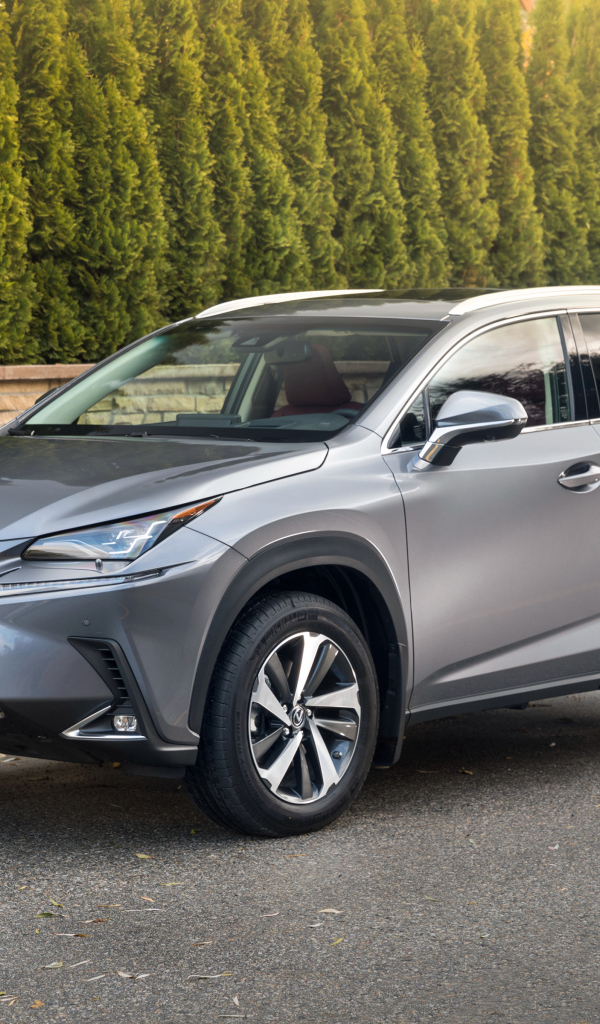 Японский серебристый внедорожник Lexus NX 300h, 2018 года