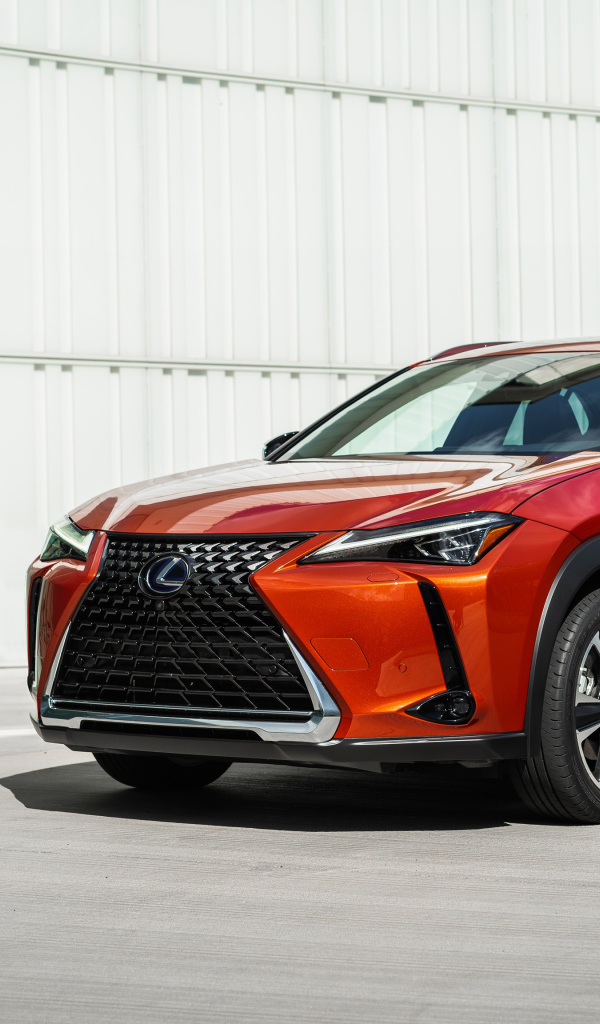 Красный автомобиль Lexus UX 250h, 2019 года