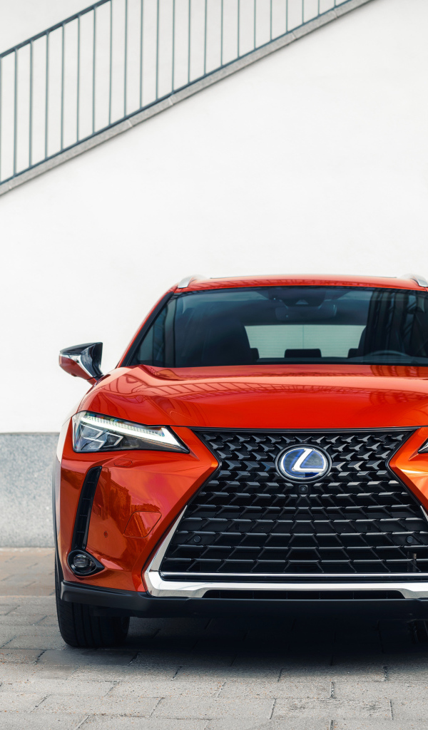Красный автомобиль Lexus UX 250h, 2019 года вид спереди