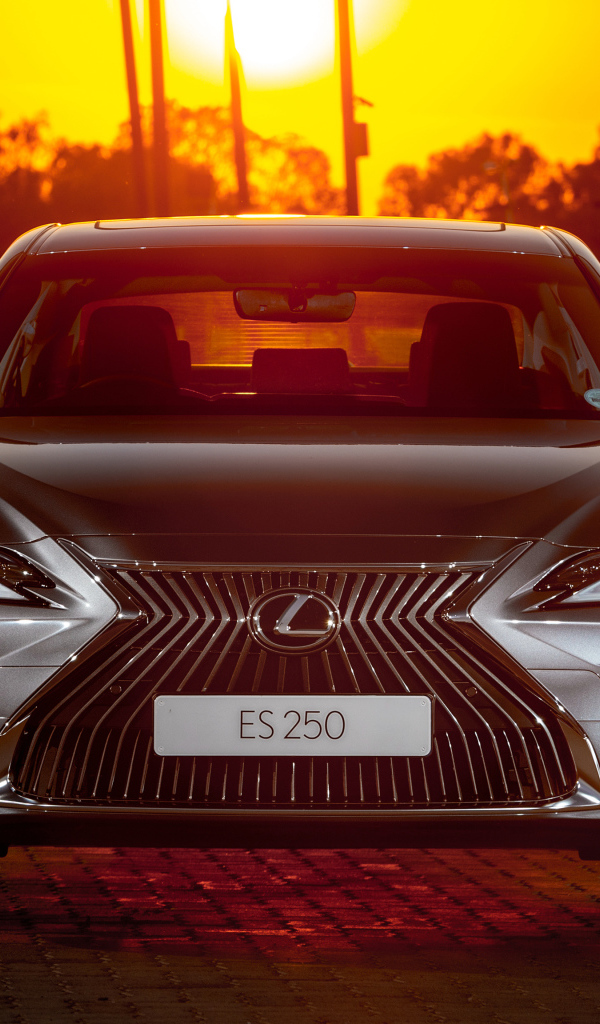 Серебристый Lexus ES 250 2018 года вид спереди