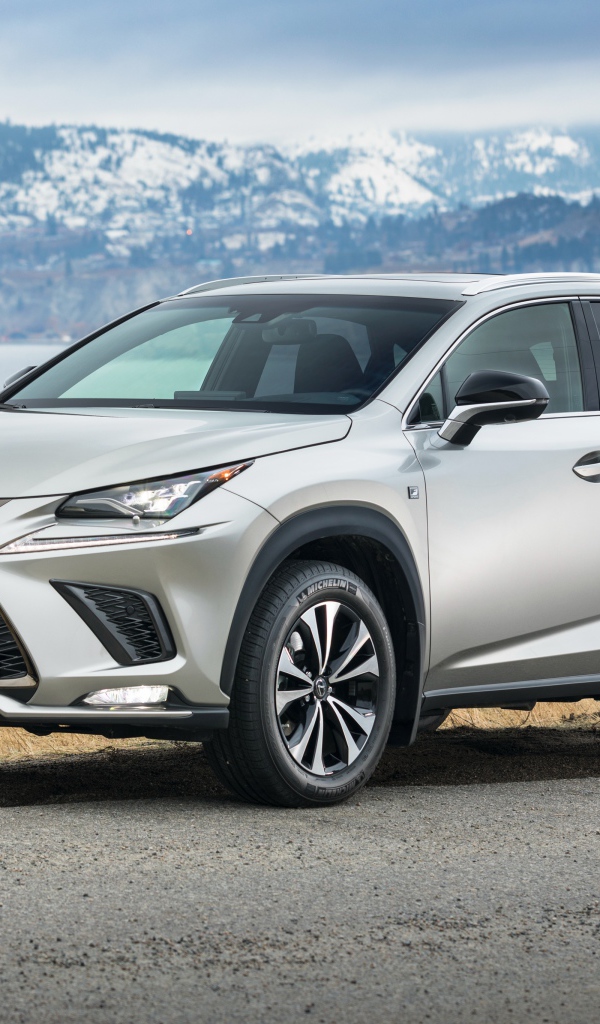 Серебристый автомобиль Lexus  NX 300 F SPORT, 2018