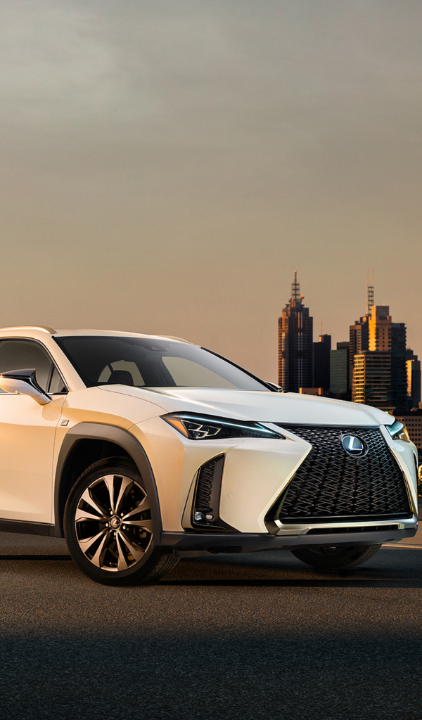 Белый внедорожник Lexus UX, 2019 на фоне города