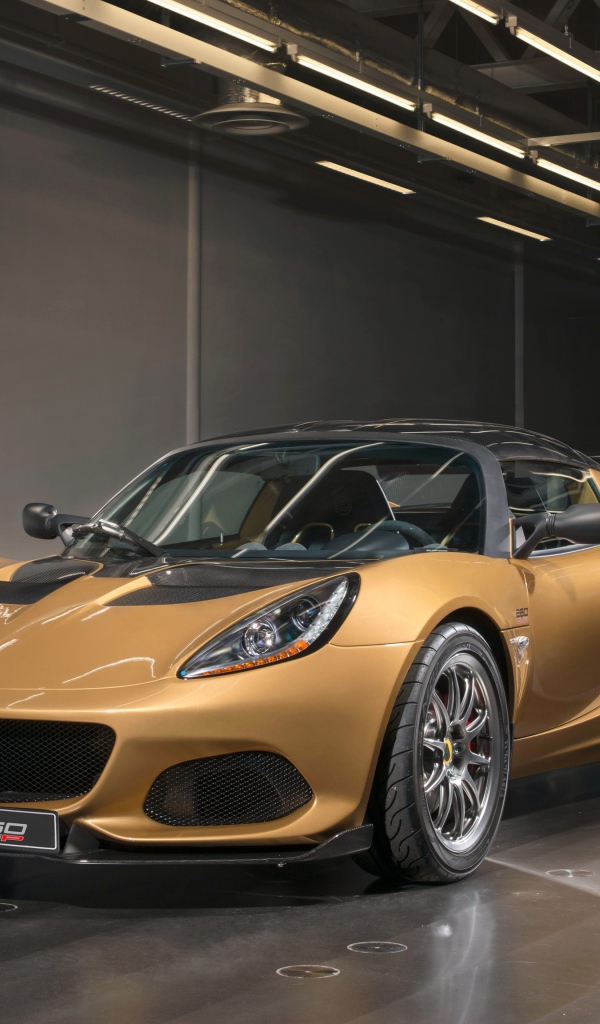 Sports car Lotus Elise in the garage