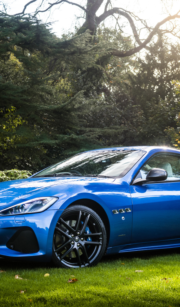 Синий автомобиль Maserati GranTurismo на фоне деревьев 