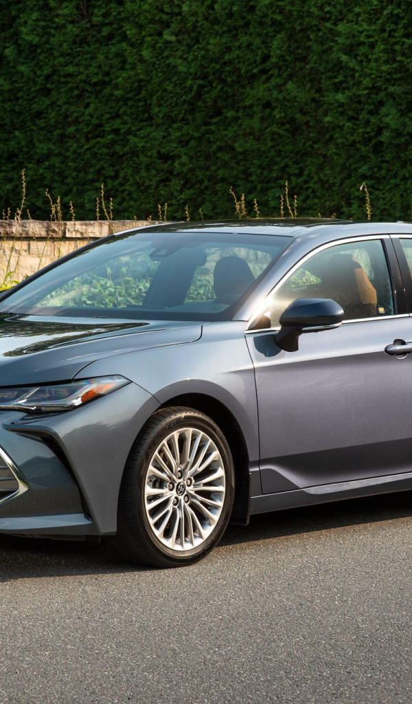 Серебристый автомобиль Toyota Avalon 2018