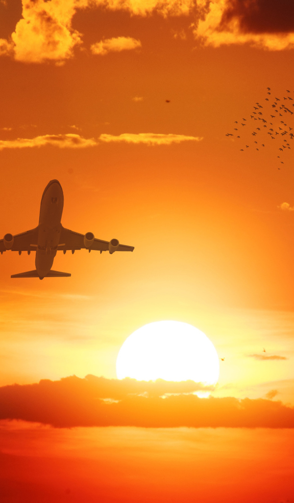 Самолет в небе на фоне солнца на закате