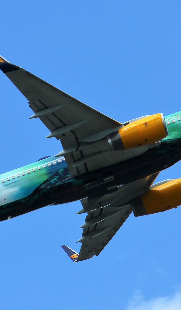 Пассажирский самолет Boeing 757-256 в небе