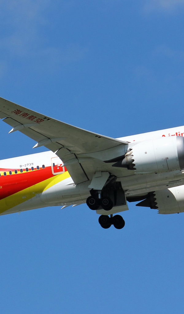 Пассажирский самолет Boeing 787-8 взлетает