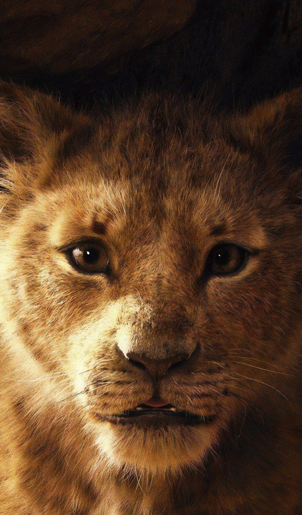 Львенок Симба персонаж нового мультфильма Король Лев, 2019