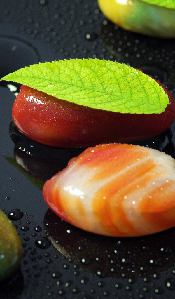 Красивые камни на черной мокрой поверхности