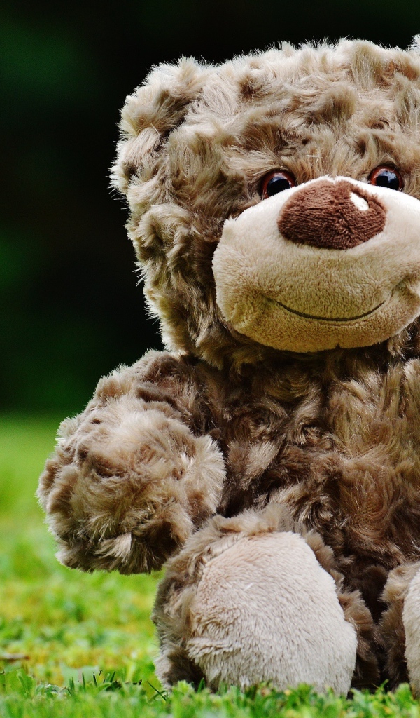 Милый плюшевый мишка сидит на зеленой траве