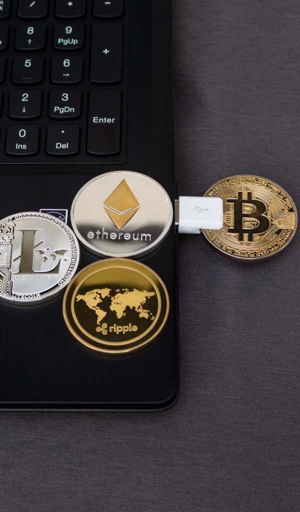 Флешка с монетой биткоин в ноутбуке