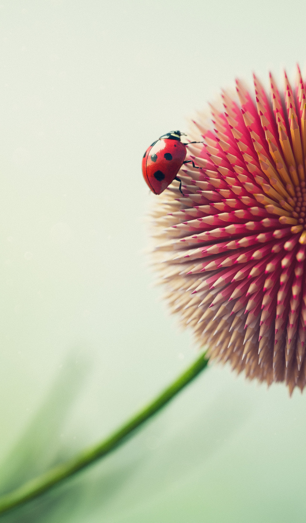 Цветок из карандашей с божьей коровкой 