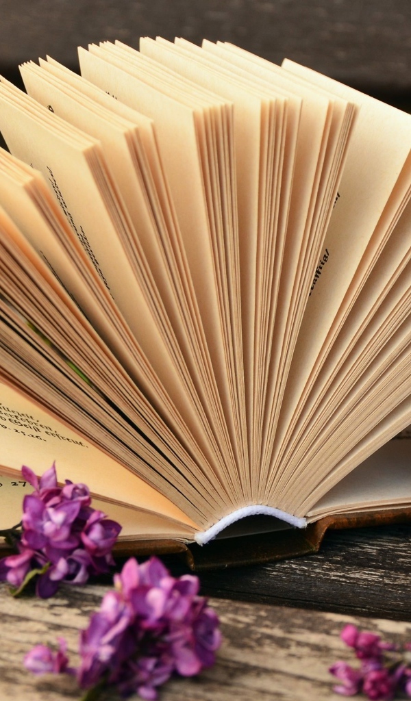 Открытая книга с сиреневыми цветами сирени